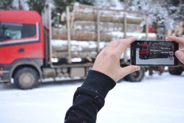 Noul site Timflow: livrările de buștean sunt acum și mai transparente