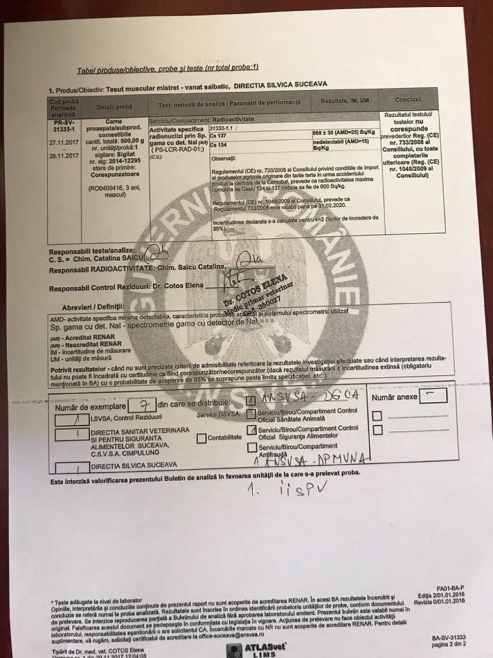Buletinul analizei făcute de DSV porcului radioactiv