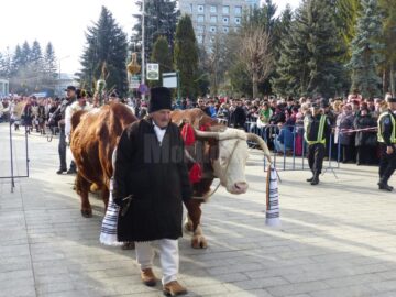 Mii de suceveni au urmărit parada obiceiurilor de iarnă de la Suceava