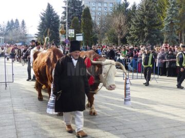 Parada a fost deschisă de un bătrân din Gura Humorului care a venit cu un plug tras de doi boi