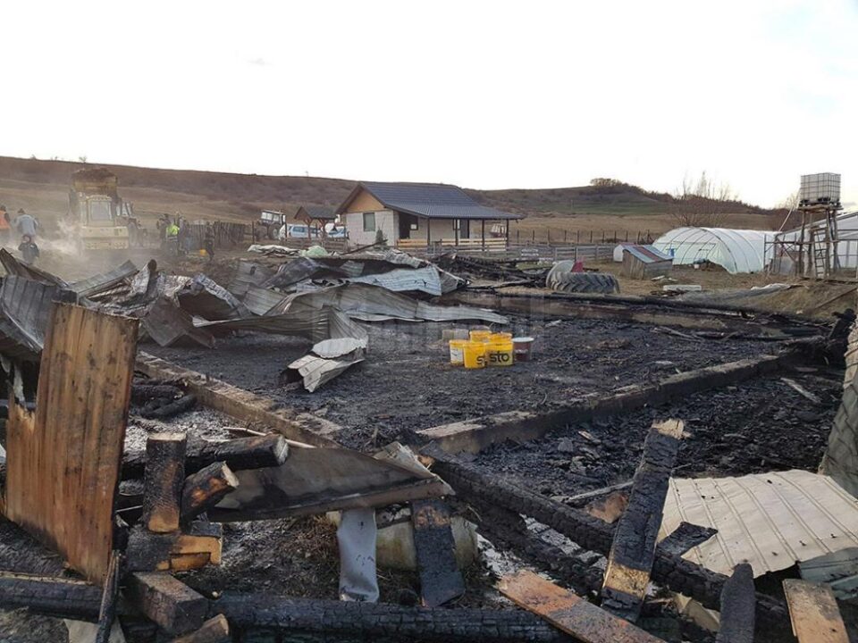 Ce a rămas după incendiul de la Horodniceni în care a ars un saivan de oi