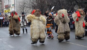 Urșii din Comănești au impresionat prin costume, realizate dint-o blană naturală de urs, cu cap cu tot