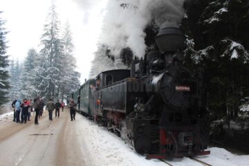 Încasările celor două curse ale Mocăniței, făcute cu peste 300 de turiști, au fost donate Sorinei pentru continuarea tratamentelor de recuperare