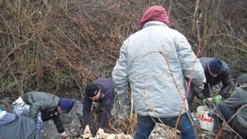 Zeci de locuitori din Bilca au curățat albia pârâului de unde se captează apa pentru comună