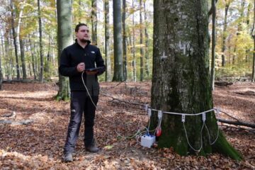 Echipamentele performante cu care a fost dotat Laboratorul de Biometrie Forestieră de la USV