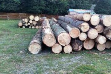 În cadrul acțiunii au fost verificate 49 de obiective, exploatări forestiere, instalații de debitat și ocoale silvice