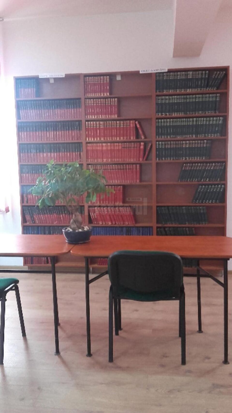 Invitație la lectură în biblioteca modernă a Colegiului “Mihai Eminescu” Suceava