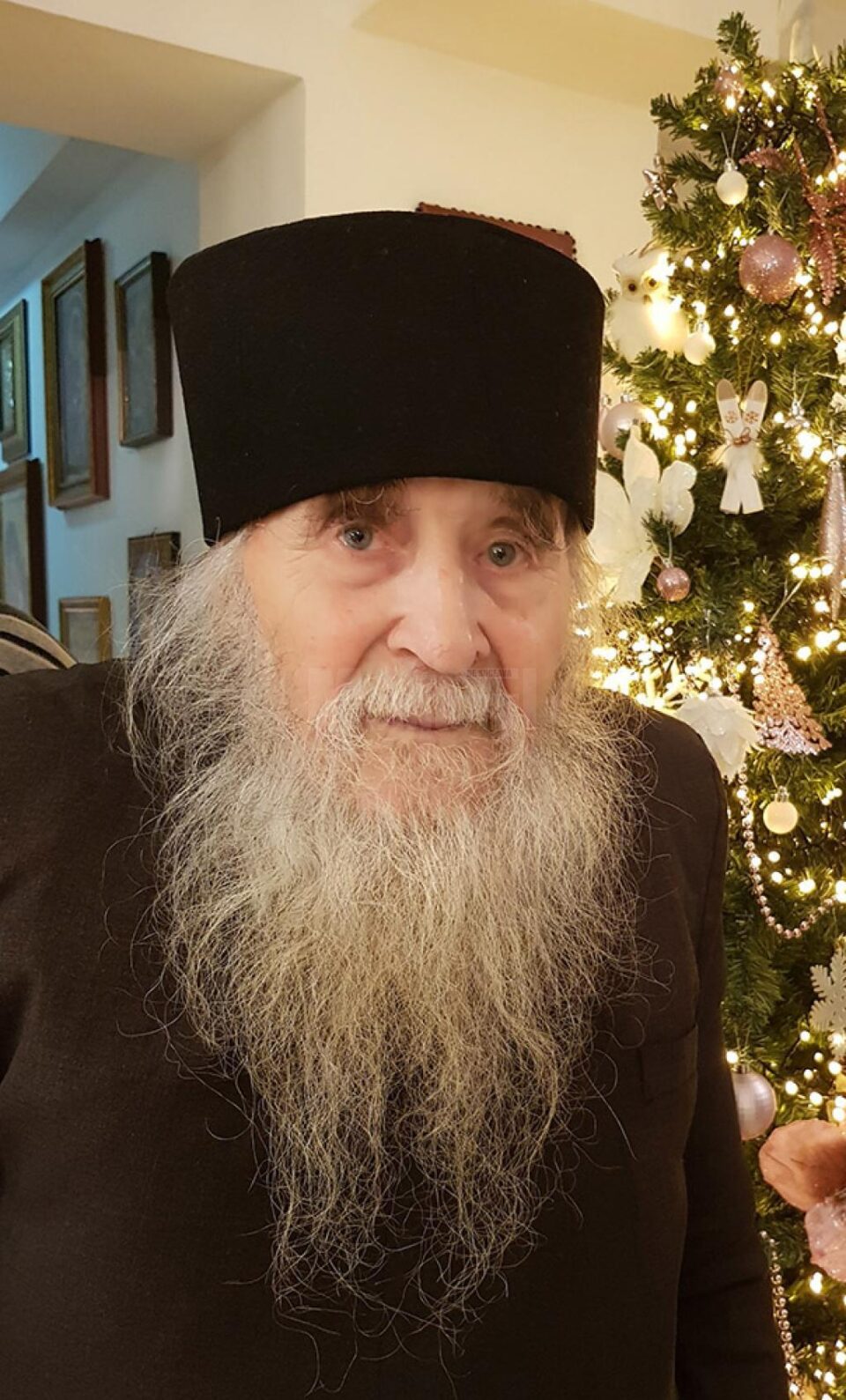 Pr. Daniil Horga de la Călugăreni Pr. Daniil Horga de la Călugăreni