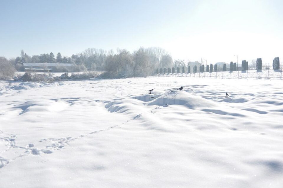 Zona în care se va construi blocul pentru medici în curtea Spitalului Vechi