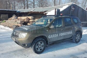 Mașină a Gărzii Forestiere Suceava