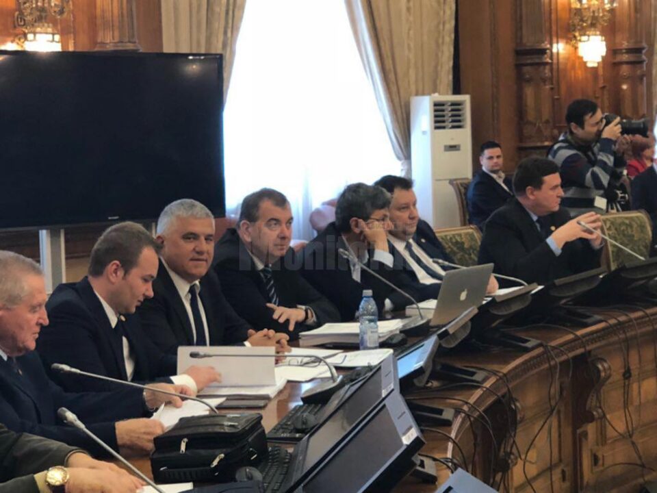 Deputatul PNL de Suceava Dumitru Mihalescul în comisia de audieri