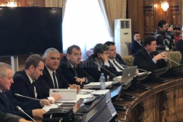 Deputatul PNL de Suceava Dumitru Mihalescul în comisia de audieri Deputatul PNL de Suceava Dumitru Mihalescul în comisia de audieri