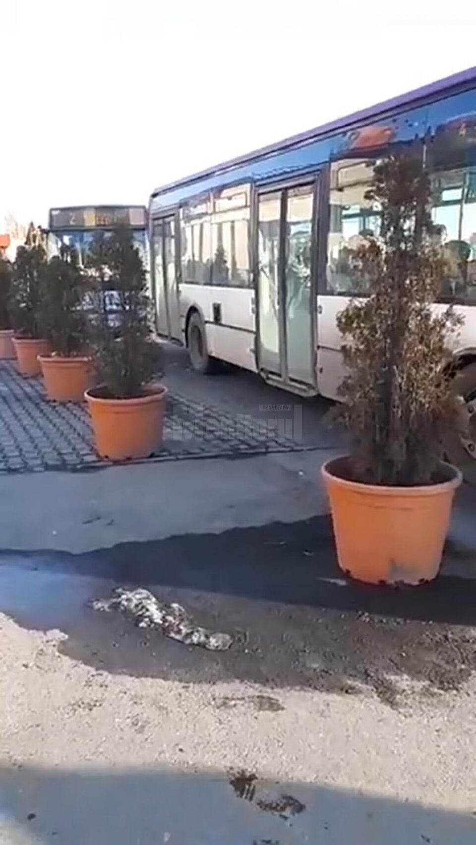 Blocarea autobuzelor de la Iulius Mall