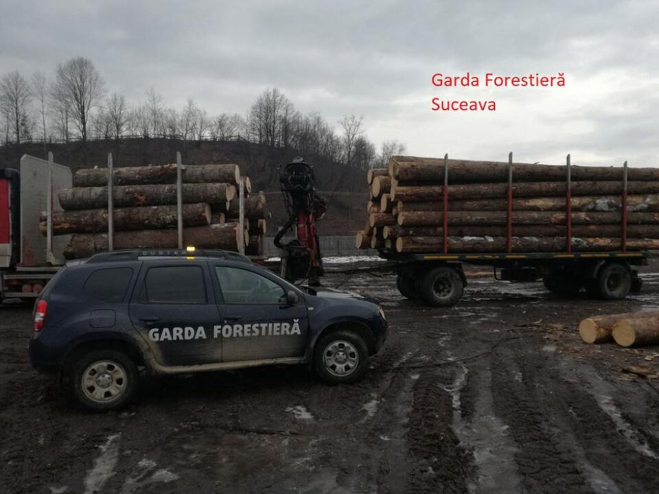 Lemn rotund, confiscat de Garda Forestieră vineri dimineață