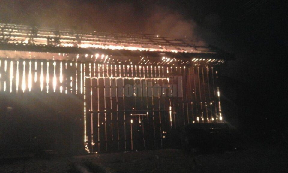 Incendiul s-a manifestat pe o arie extinsa