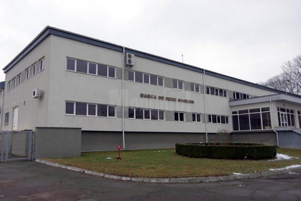 Banca de Gene Suceava, locul în care sunt păstrate și înmulțite semințe ale legumelor gustoase de altădată