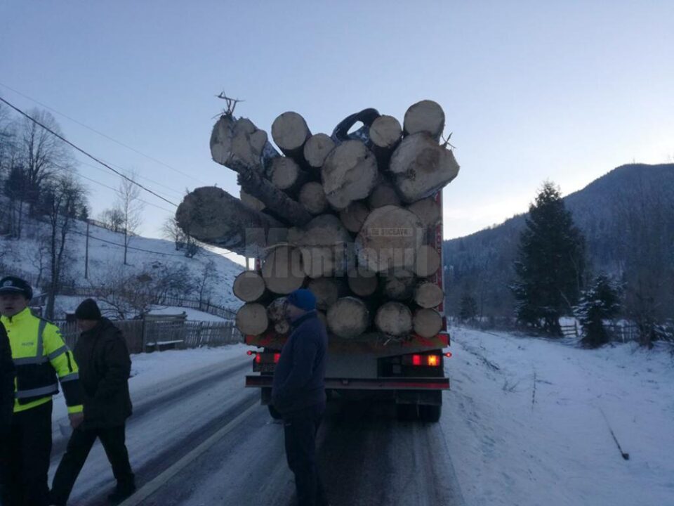 Sancțiuni de peste 20.000 de lei aplicate de Garda Forestieră, în urma controalelor la transportul materialelor lemnoase