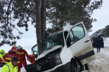 Microbuzul a lovit violent copacul