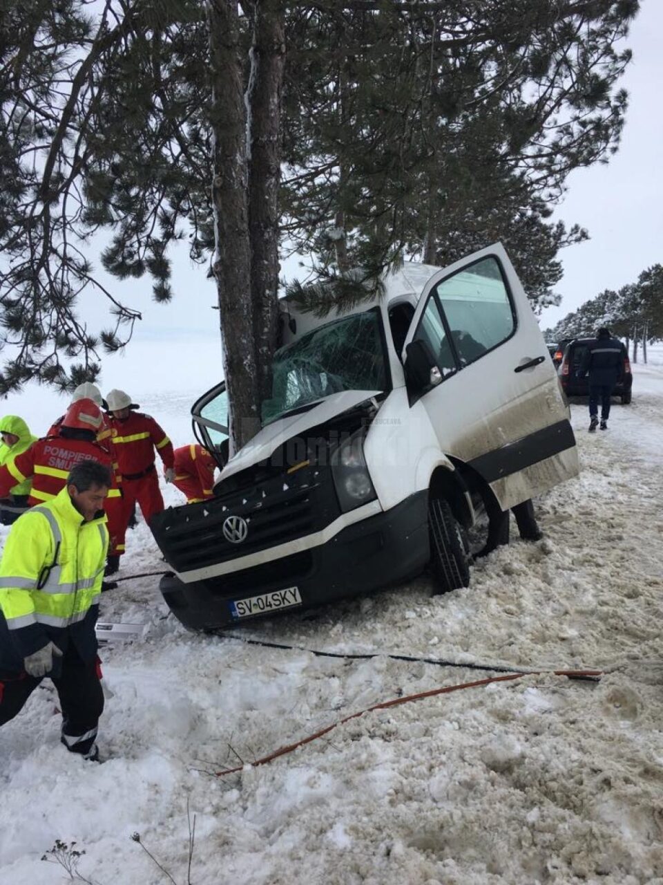 Microbuzul a lovit violent copacul