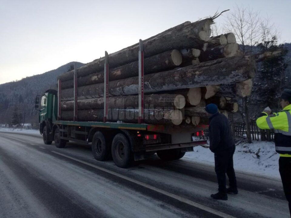 Sancțiuni de peste 20.000 de lei aplicate de Garda Forestieră, în urma controalelor la transportul materialelor lemnoase