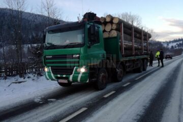 Lemn confiscat și amenzi usturătoare, în urma unor controale ale Gărzii Forestiere Suceava