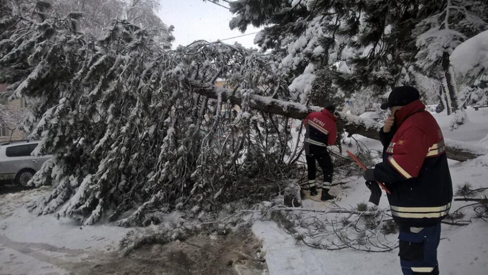 Arbori rupți sau căzuți, în mai multe zone ale Sucevei, din cauza zăpezii grele
