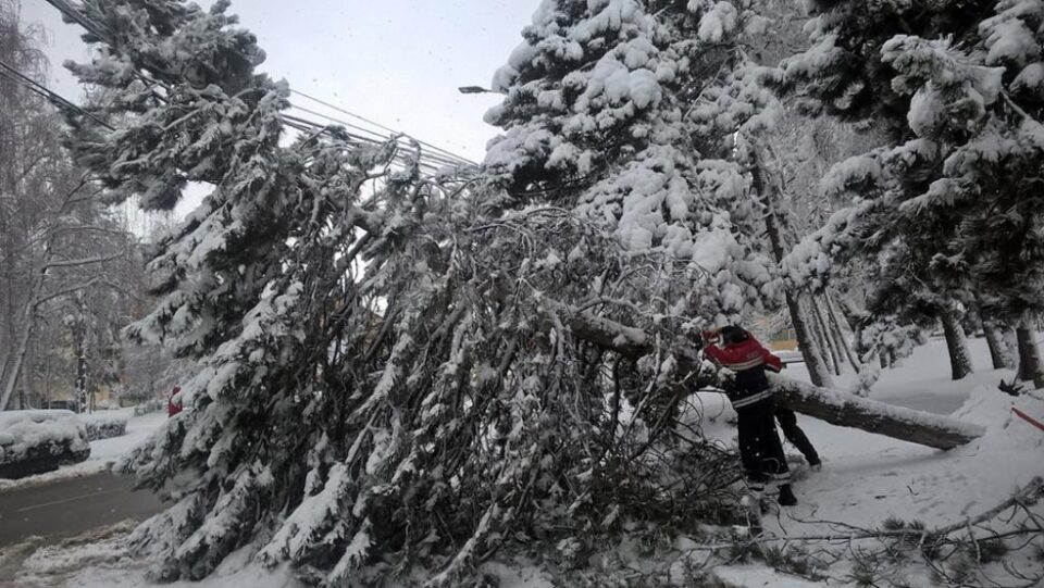 Arbori rupți sau căzuți, în mai multe zone ale Sucevei, din cauza zăpezii grele