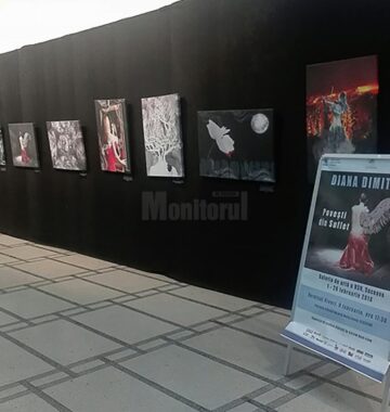 ”Povești de suflet”, 23 de lucrări de grafică digitală realizate de Diana Dimitriu, la Galeria de artă a USV