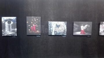 ”Povești de suflet”, 23 de lucrări de grafică digitală realizate de Diana Dimitriu, la Galeria de artă a USV