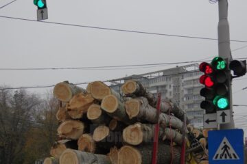 Transport de lemn de lucru rasinoase