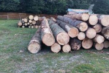 În cadrul acțiunii au fost confiscați circa 96 metri cubi de lemn