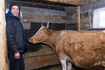 Familia Huțan a primit o vacă, pentru a le asigura copiilor o sursă de mâncare zilnică