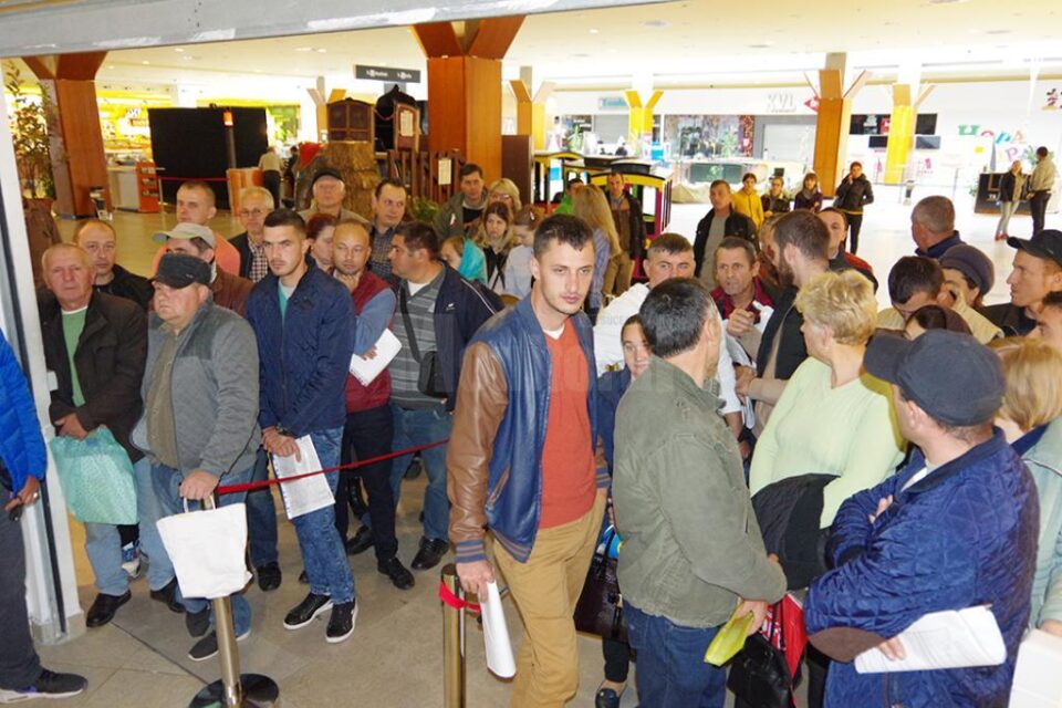 Număr mare de solicitanți la ghișeele de înmatriculări și permise auto