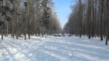 Ciutele de la Marginea au devenit vedete pe internet, pe pagina oficială a RNP