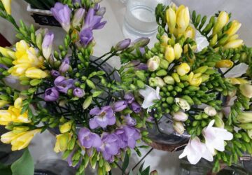 Queen Concept Flowers - o ofertă bogată de flori pentru suflet