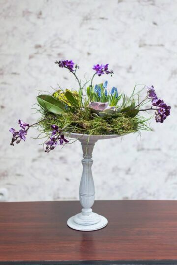 Queen Concept Flowers - o ofertă bogată de flori pentru suflet