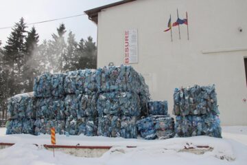 Peturi pregătite pentru tocare