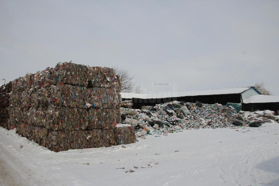 Peturi care urmează să fie sortate și altele care urmează să intre în tocător