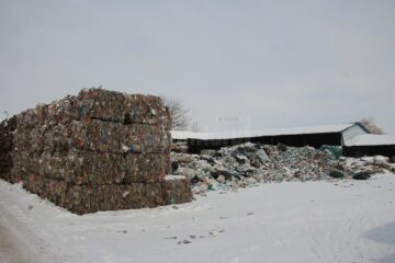 Peturi care urmează să fie sortate și altele care urmează să intre în tocător