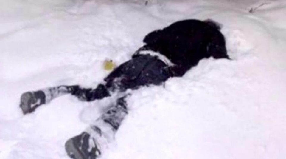 Cele trei morți suspecte sunt cercetate de către polițiști Foto: fluierul Cele trei morți suspecte sunt cercetate de către polițiști Foto: fluierul