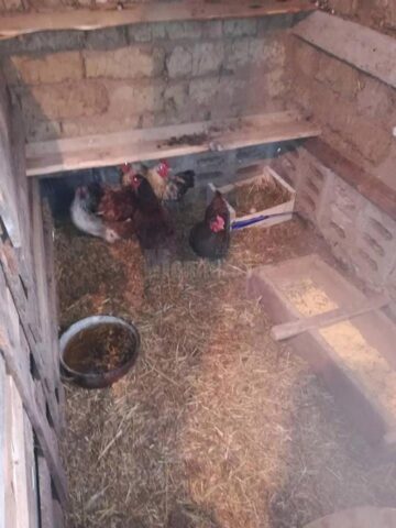 7.000 de euro, necesari pentru achiziționarea unei case în care să locuiască o familie necăjită cu cinci copii