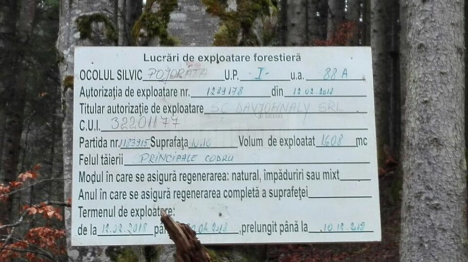 Tăierile de arbori de pe Rarău, lucrări autorizate și efectuate conform regulilor