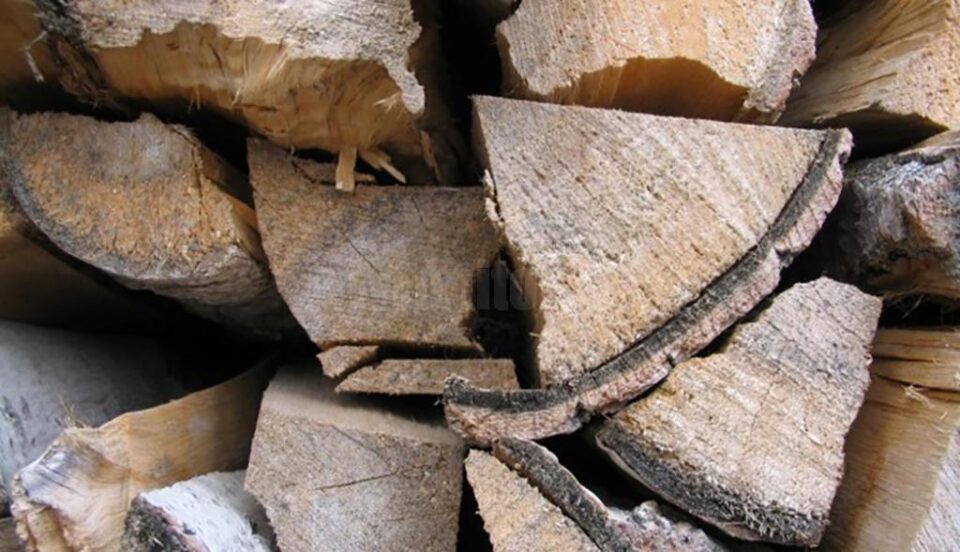 Întreaga cantitate de 27,72 metri cubi de lemn de fag, în valoare de 3.825,36 lei, a fost confiscată Întreaga cantitate de 27,72 metri cubi de lemn de fag, în valoare de 3.825,36 lei, a fost confiscată