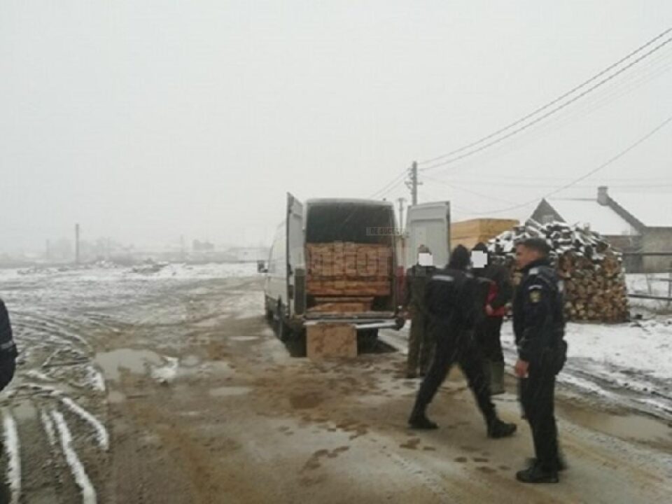S-a ales cu amendă și cu autoutilitara confiscată pentru că transporta material lemnos fără documente de proveniență