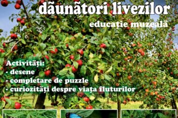 Lecția "Fluturi dăunători livezilor", la Muzeul de Științele Naturii din Suceava