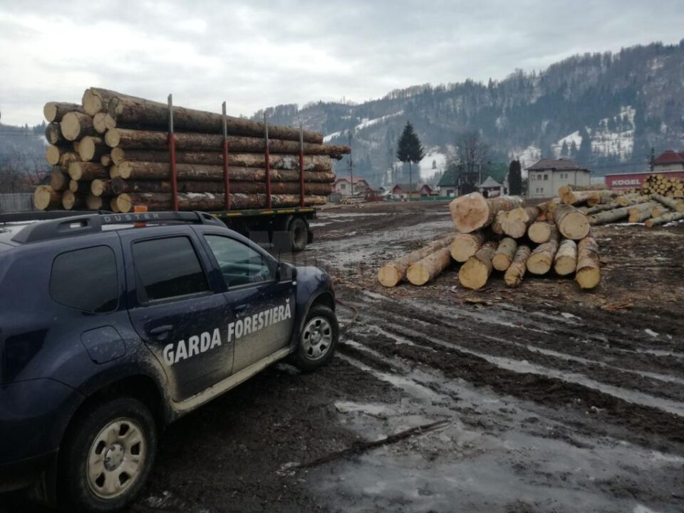 Peste 100 de controale efectuate de Garda Forestieră Suceava de la începutul lunii martie