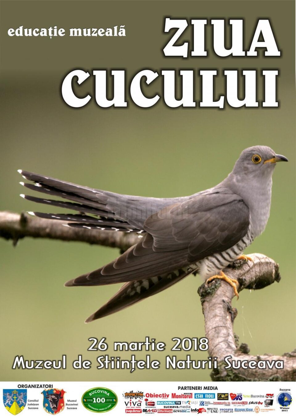 Ziua Cucului, lecție muzeală pentru copii la Muzeul de Științele Naturii Suceava Ziua Cucului, lecție muzeală pentru copii la Muzeul de Științele Naturii Suceava