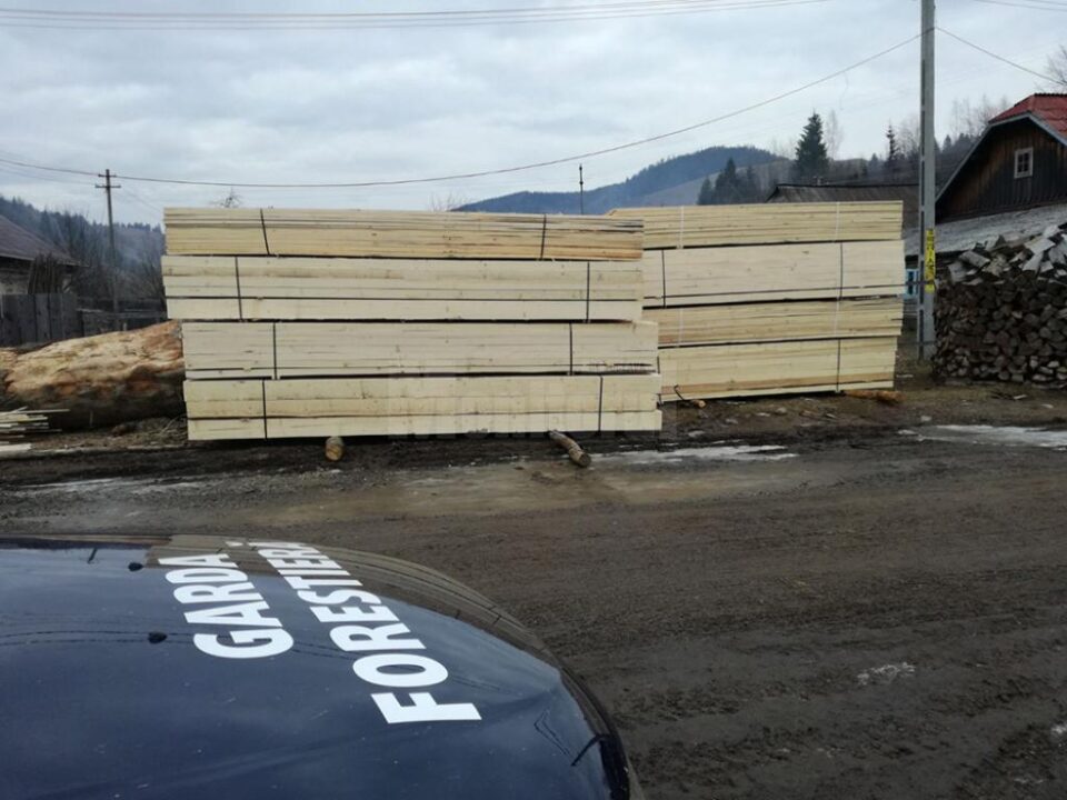 Amenzi de 150.000 de lei, aplicate de Garda Forestieră Suceava de la începutul lunii martie