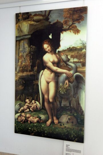 "Mașinile lui da Vinci", realizate după schițele celebrului artist, pot fi admirate la Muzeul de Istorie din Suceava