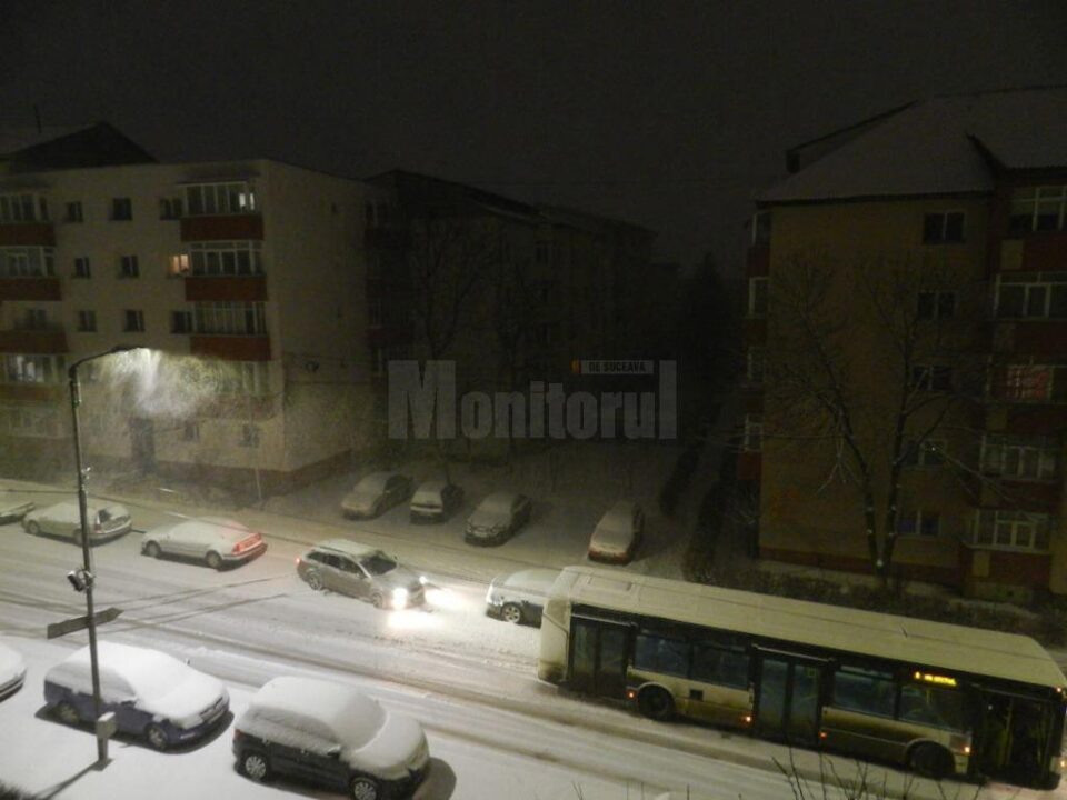 Autobuzele TPL care se duceau ca săniile la vale, în Obcini Foto: V. Adomnicăi